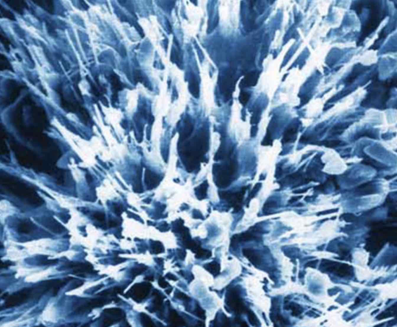 Crystal Coat