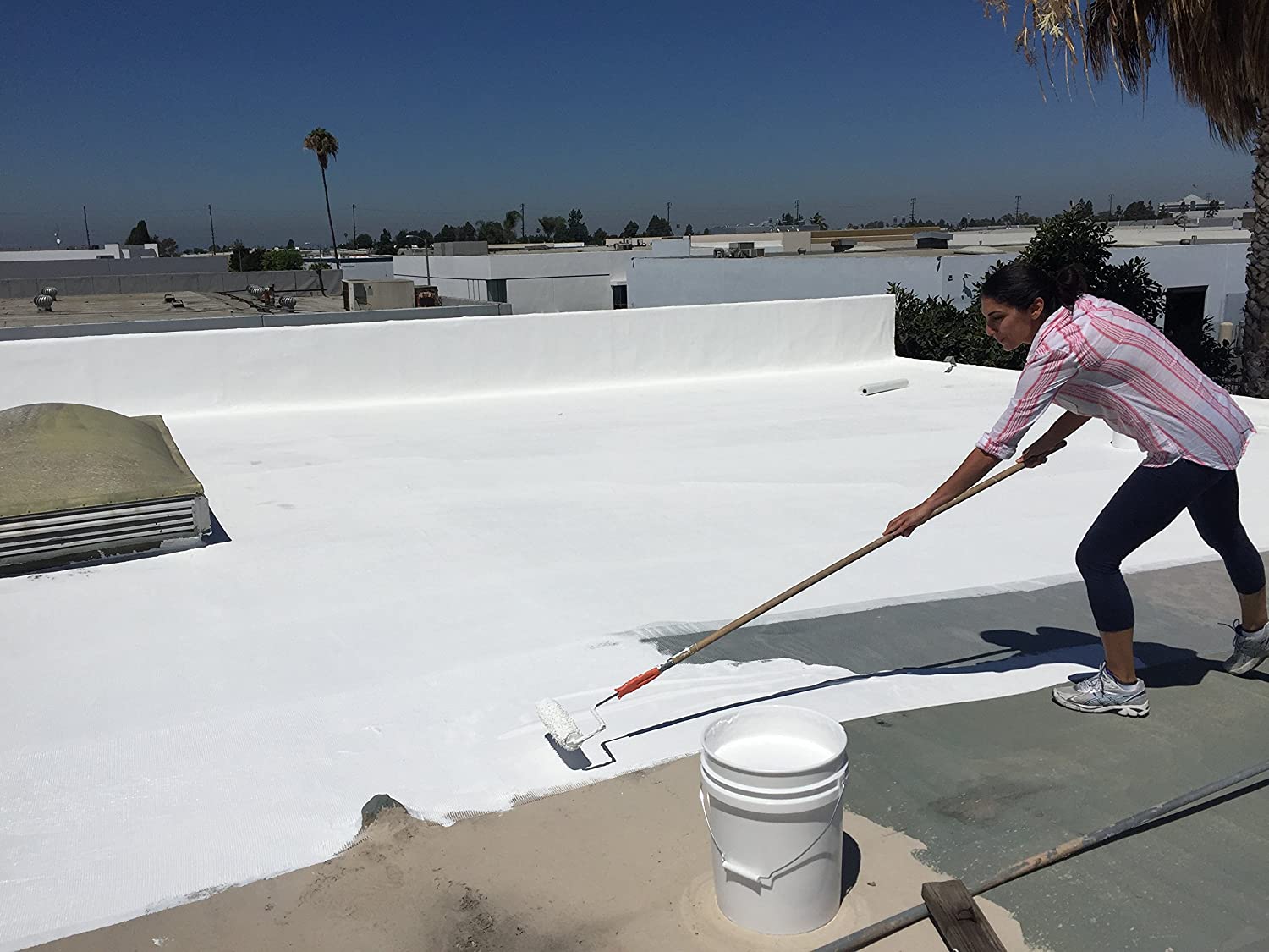 Damp Guard Application on Roof