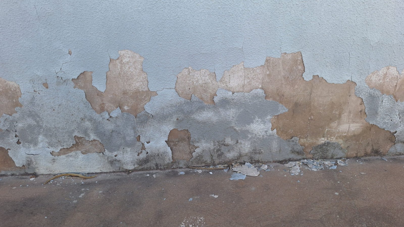Dry Coat Durable