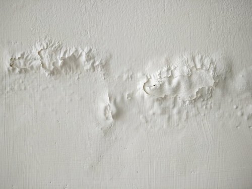 Dry Coat Restoration